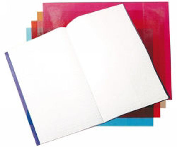 Picture of BOOK JACKETS C/LAND 9X7  TINTS ASST PK5